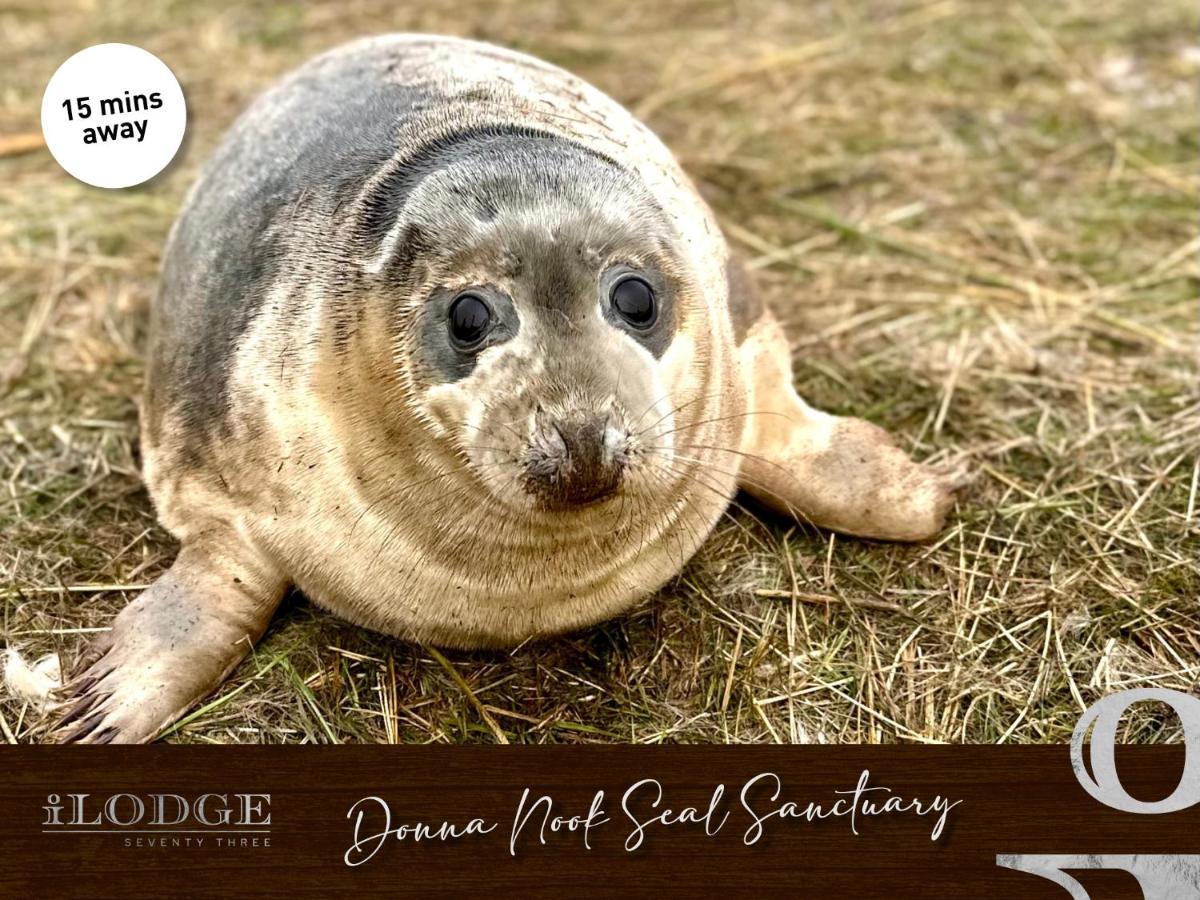 Ilodge 73 Louth  Dış mekan fotoğraf